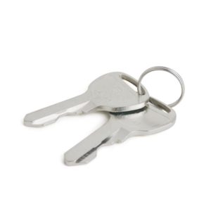 IGNITION KEY  (PAIR)