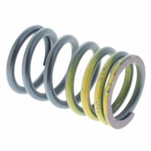 VALVE SPRING