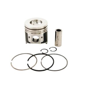 PISTON W/RING
